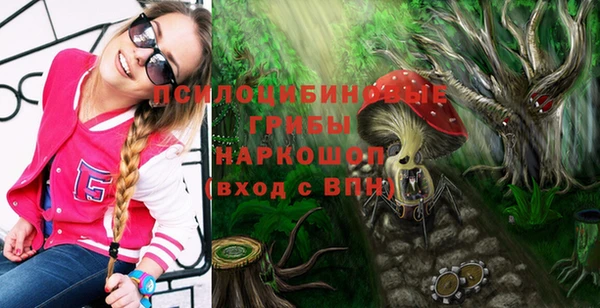 амф Сафоново
