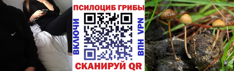Псилоцибиновые грибы ЛСД  Купить закладки  Красноармейск 